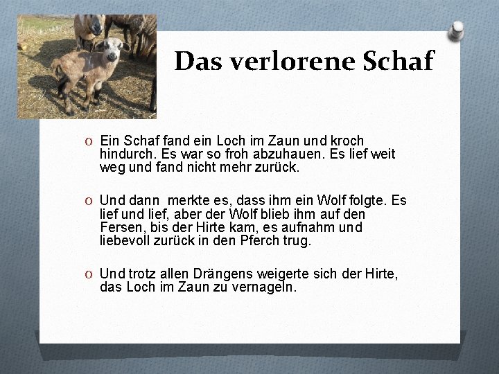 Das verlorene Schaf O Ein Schaf fand ein Loch im Zaun und kroch hindurch.