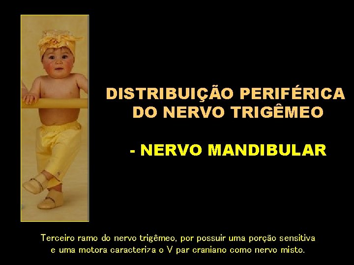 DISTRIBUIÇÃO PERIFÉRICA DO NERVO TRIGÊMEO - NERVO MANDIBULAR Terceiro ramo do nervo trigêmeo, por