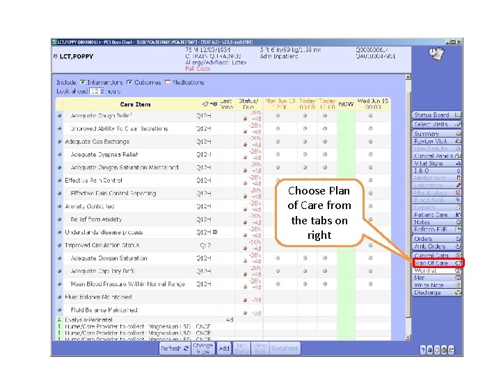 Choose Plan of Care from the tabs on right 