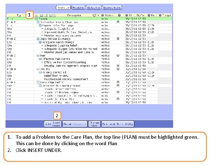 1 2 1. To add a Problem to the Care Plan, the top line