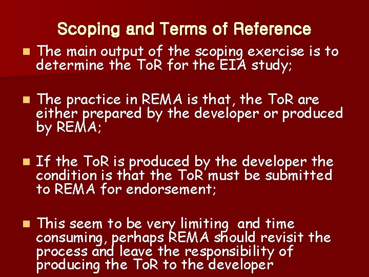 Scoping and Terms of Reference n The main output of the scoping exercise is