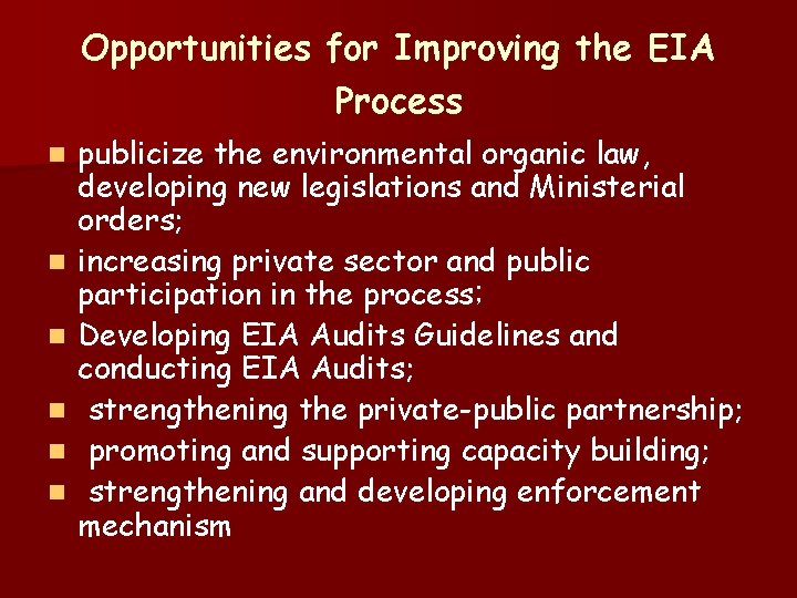 Opportunities for Improving the EIA Process n n n publicize the environmental organic law,