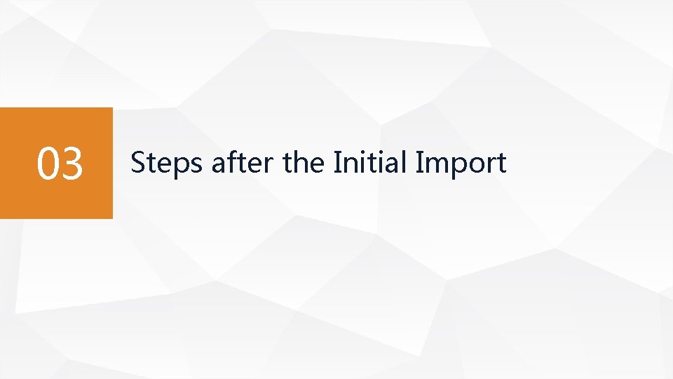 03 Steps after the Initial Import 03 Steps after the Initial Import