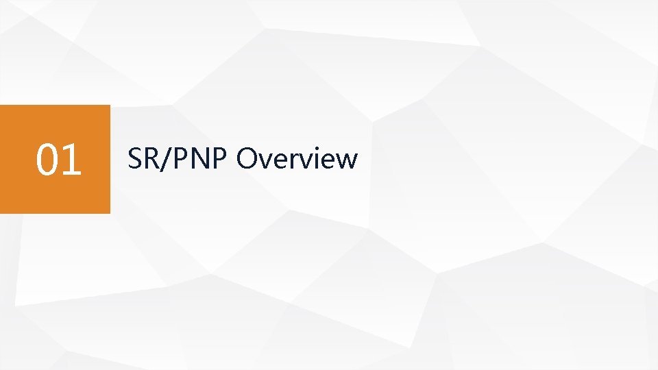 01 SR/PNP Overview 01 SR/PNP Overview