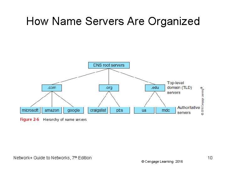 How Name Servers Are Organized Network+ Guide to Networks, 7 th Edition © Cengage