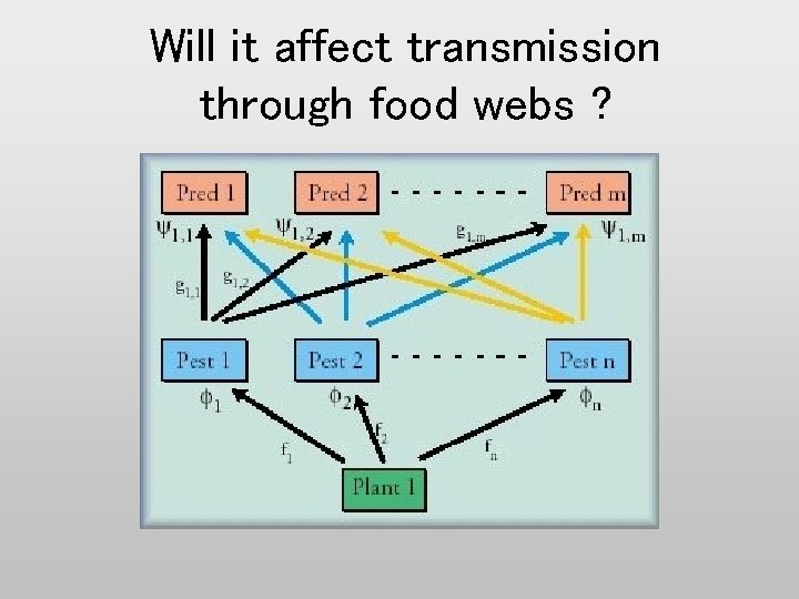 Will it affect transmission through food webs ? 