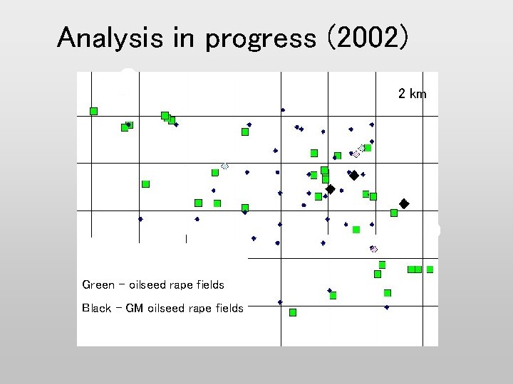 Analysis in progress (2002) 2 km Green – oilseed rape fields Black – GM