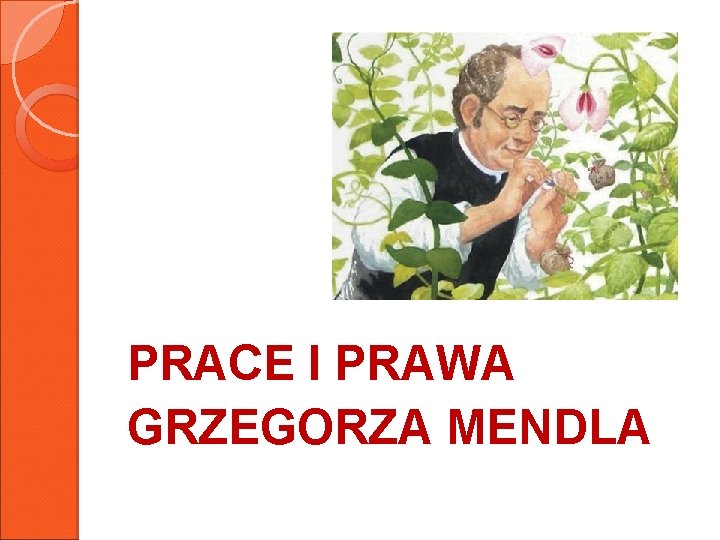 PRACE I PRAWA GRZEGORZA MENDLA 