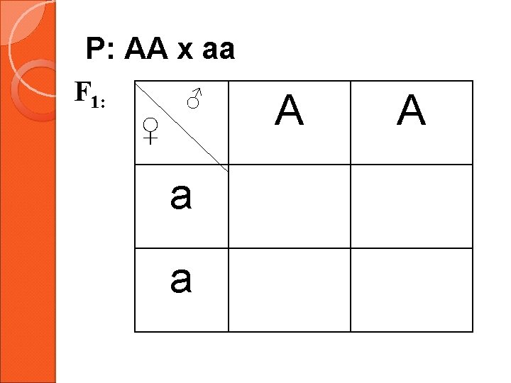 P: AA x aa F 1: ♂ ♀ a a A A 