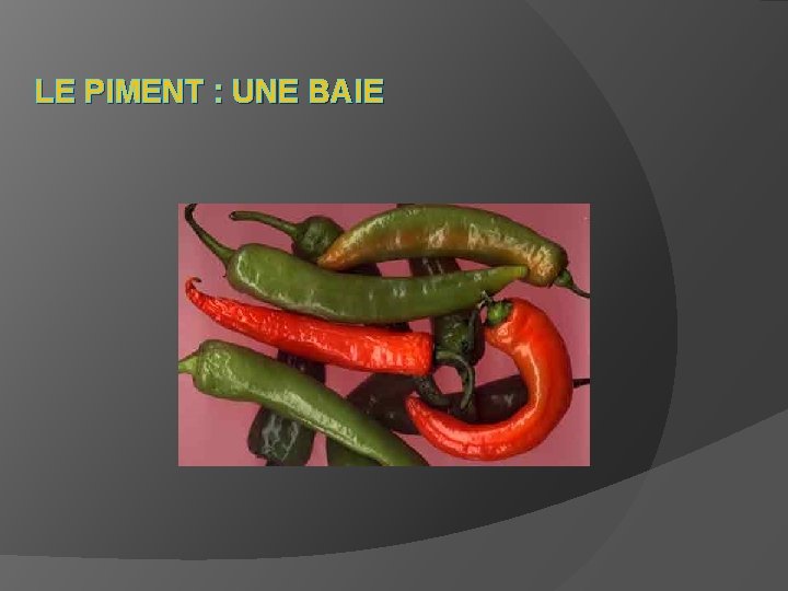 LE PIMENT : UNE BAIE 