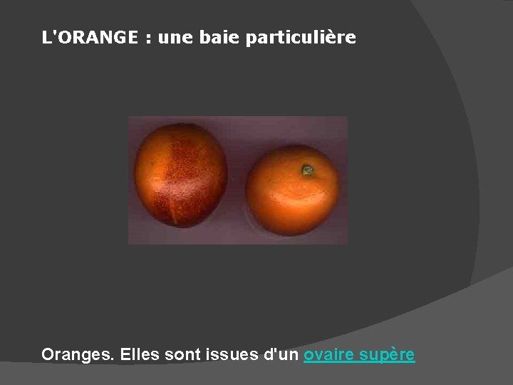 L'ORANGE : une baie particulière Oranges. Elles sont issues d'un ovaire supère 