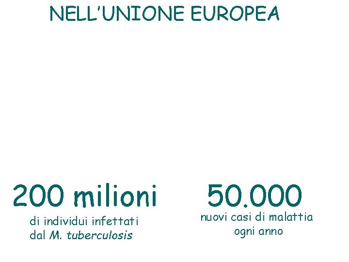 NELL’UNIONE EUROPEA 200 milioni di individui infettati dal M. tuberculosis 50. 000 nuovi casi
