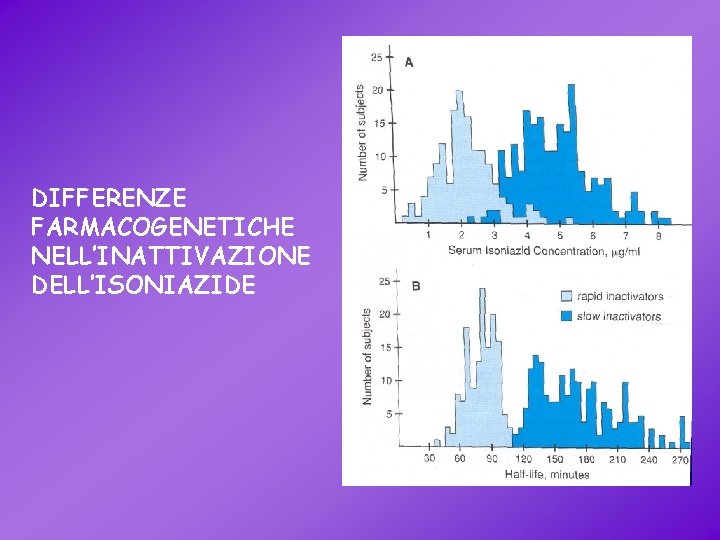 DIFFERENZE FARMACOGENETICHE NELL’INATTIVAZIONE DELL’ISONIAZIDE 