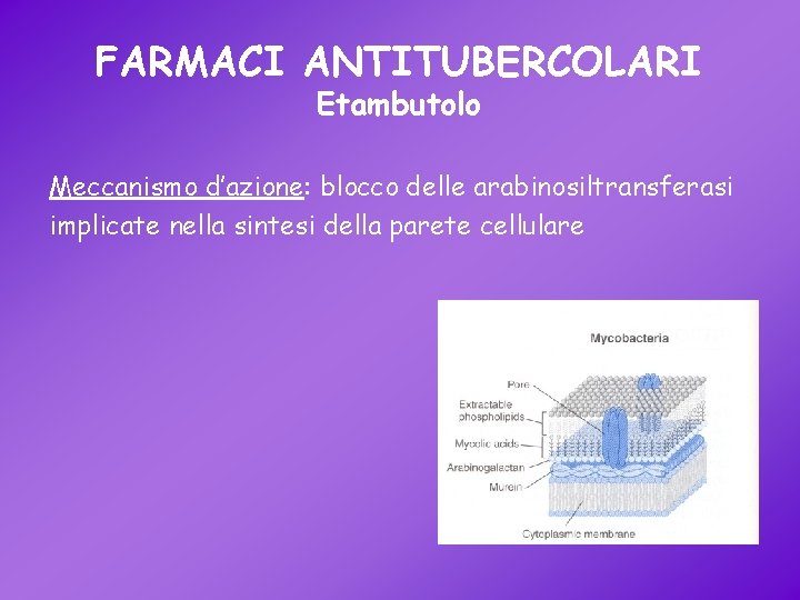 FARMACI ANTITUBERCOLARI Etambutolo Meccanismo d’azione: blocco delle arabinosiltransferasi implicate nella sintesi della parete cellulare