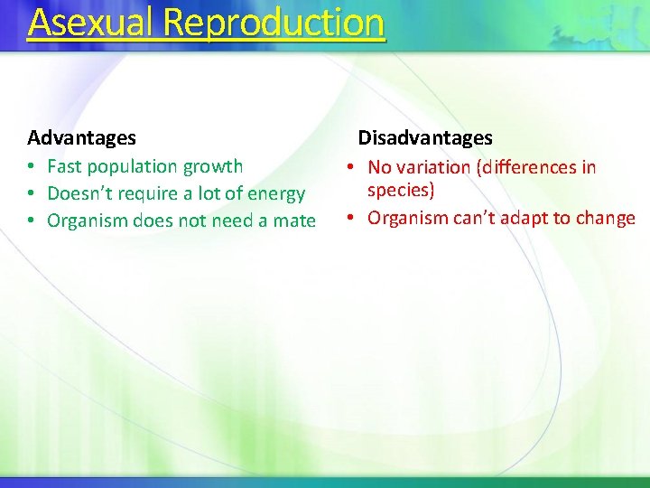 Asexual Reproduction Advantages • Fast population growth • Doesn’t require a lot of energy