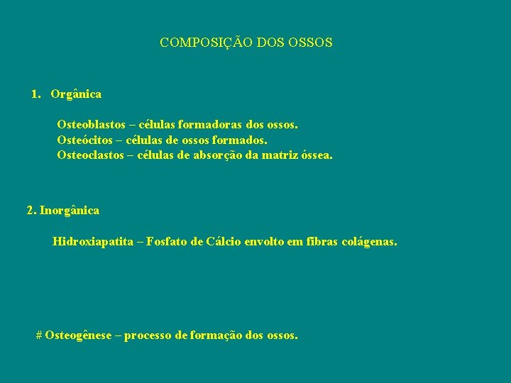 COMPOSIÇÃO DOS OSSOS 1. Orgânica Osteoblastos – células formadoras dos ossos. Osteócitos – células