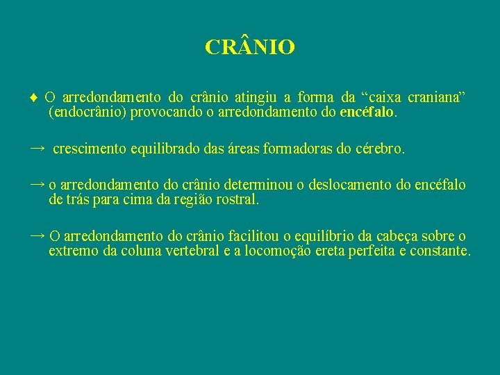 CR NIO ♦ O arredondamento do crânio atingiu a forma da “caixa craniana” (endocrânio)