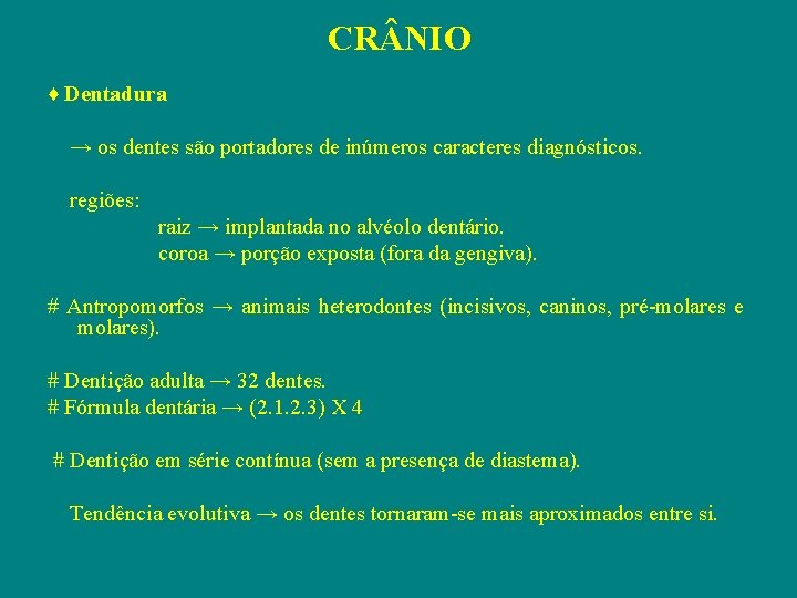 CR NIO ♦ Dentadura → os dentes são portadores de inúmeros caracteres diagnósticos. regiões: