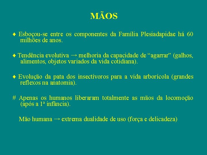 MÃOS ♦ Esboçou-se entre os componentes da Família Plesiadapidae há 60 milhões de anos.