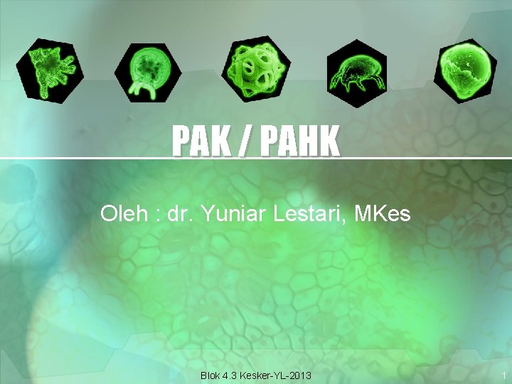 PAK / PAHK Oleh : dr. Yuniar Lestari, MKes Blok 4. 3 Kesker-YL-2013 1