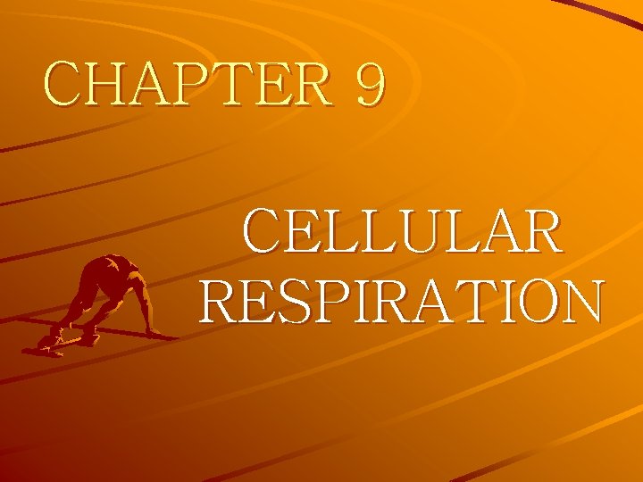 CHAPTER 9 CELLULAR RESPIRATION 