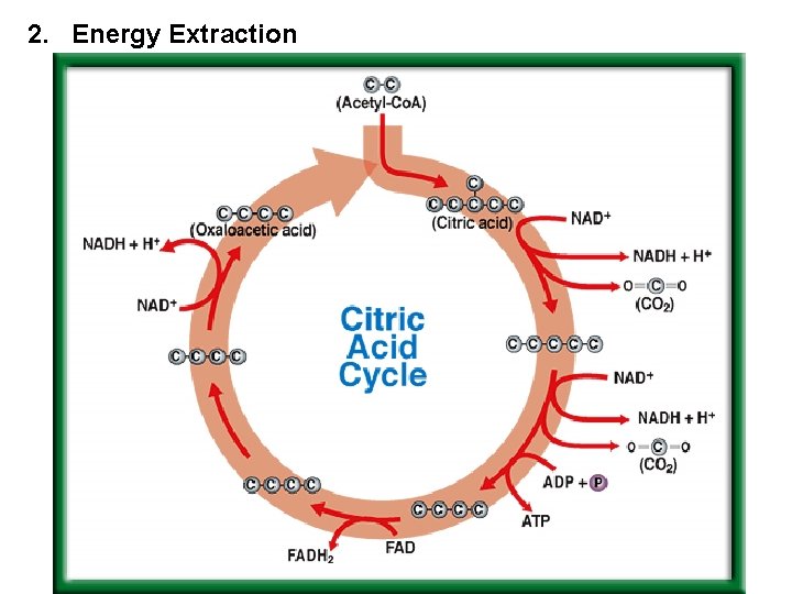 2. Energy Extraction 