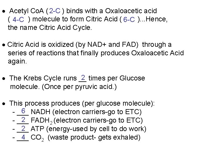  Acetyl Co. A ( 2 -C ) binds with a Oxaloacetic acid (