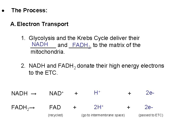  The Process: A. Electron Transport 1. Glycolysis and the Krebs Cycle deliver their