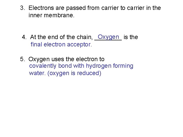 3. Electrons are passed from carrier to carrier in the inner membrane. Oxygen is