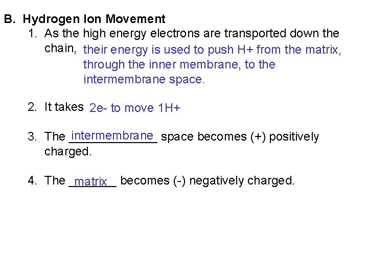 B. Hydrogen Ion Movement 1. As the high energy electrons are transported down the