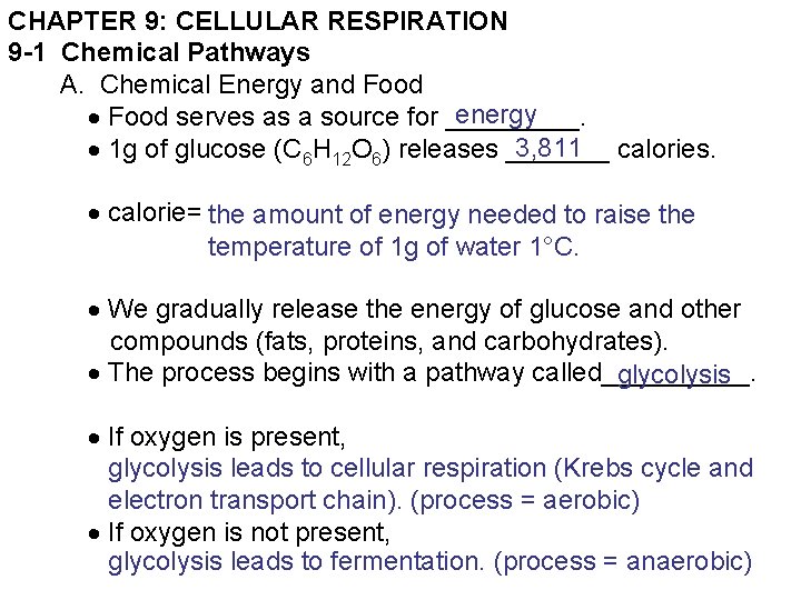 CHAPTER 9: CELLULAR RESPIRATION 9 -1 Chemical Pathways A. Chemical Energy and Food energy