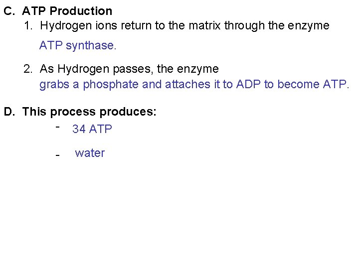 C. ATP Production 1. Hydrogen ions return to the matrix through the enzyme ATP