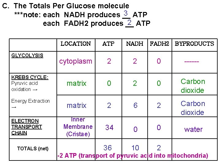 C. The Totals Per Glucose molecule 3 ATP ***note: each NADH produces __ 2