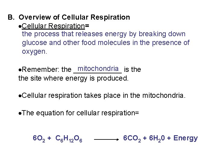 B. Overview of Cellular Respiration= the process that releases energy by breaking down glucose