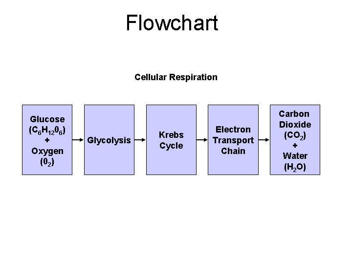 Section 9 -2 Flowchart Cellular Respiration Glucose (C 6 H 1206) + Oxygen (02)