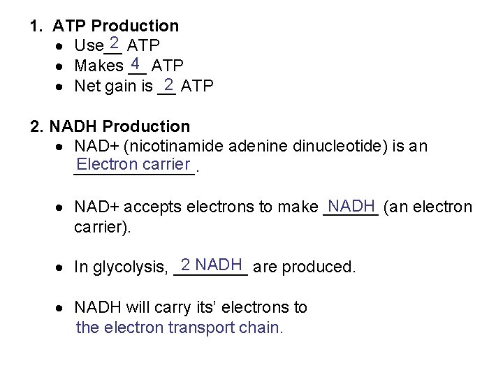 1. ATP Production 2 ATP Use__ 4 ATP Makes __ 2 ATP Net gain