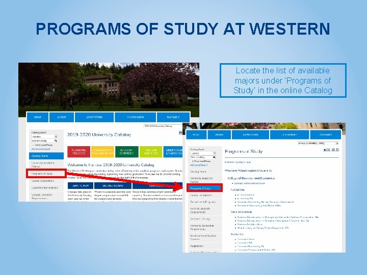 PROGRAMS OF STUDY AT WESTERN Locate the list of available majors under ‘Programs of