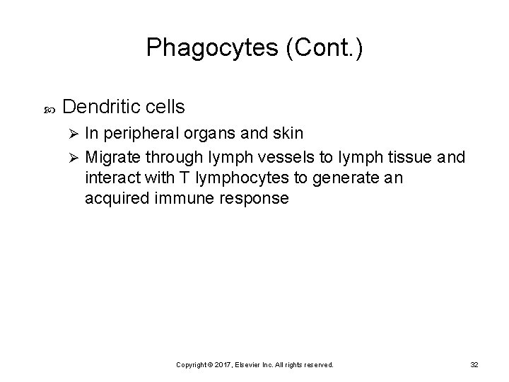Phagocytes (Cont. ) Dendritic cells In peripheral organs and skin Ø Migrate through lymph