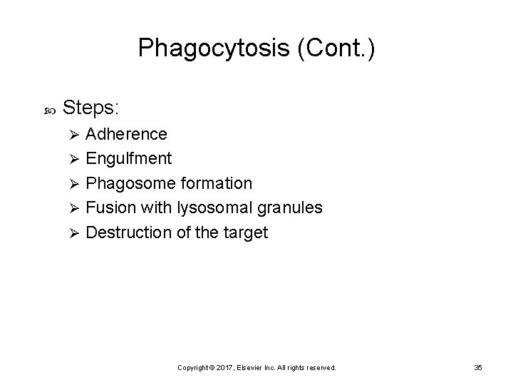 Phagocytosis (Cont. ) Steps: Adherence Ø Engulfment Ø Phagosome formation Ø Fusion with lysosomal