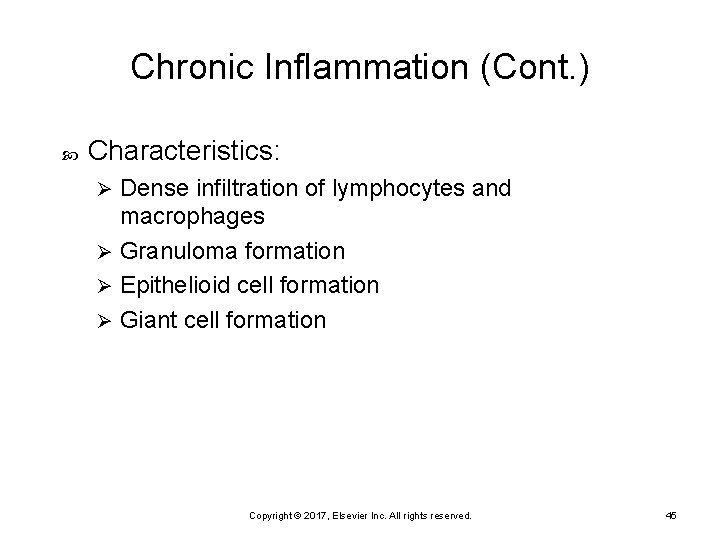 Chronic Inflammation (Cont. ) Characteristics: Dense infiltration of lymphocytes and macrophages Ø Granuloma formation