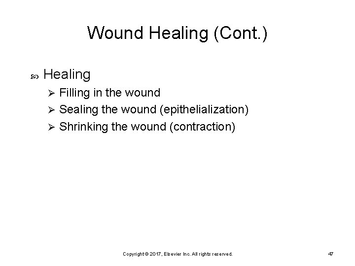 Wound Healing (Cont. ) Healing Filling in the wound Ø Sealing the wound (epithelialization)