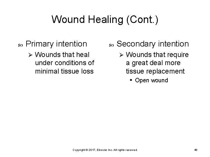 Wound Healing (Cont. ) Primary intention Ø Wounds that heal under conditions of minimal