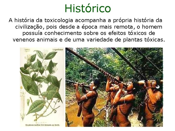 Histórico A história da toxicologia acompanha a própria história da civilização, pois desde a