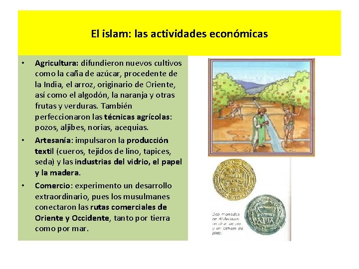 El islam: las actividades económicas • • • Agricultura: difundieron nuevos cultivos como la