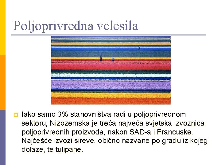 Poljoprivredna velesila p Iako samo 3% stanovništva radi u poljoprivrednom sektoru, Nizozemska je treća