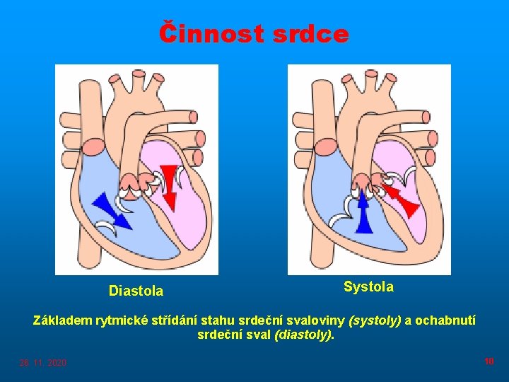 Činnost srdce Diastola Systola Základem rytmické střídání stahu srdeční svaloviny (systoly) a ochabnutí srdeční