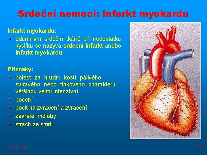 Srdeční nemoci: Infarkt myokardu: odumírání srdeční tkáně při nedostatku kyslíku se nazývá srdeční infarkt