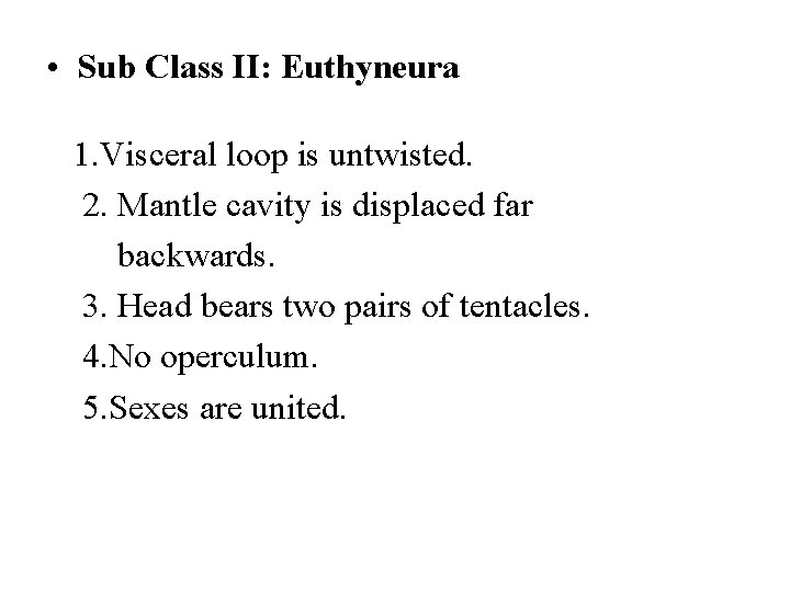  • Sub Class II: Euthyneura 1. Visceral loop is untwisted. 2. Mantle cavity