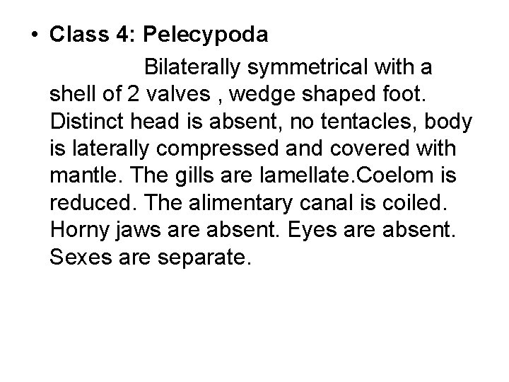  • Class 4: Pelecypoda Bilaterally symmetrical with a shell of 2 valves ,