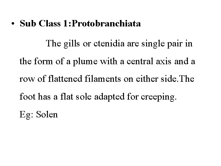  • Sub Class 1: Protobranchiata The gills or ctenidia are single pair in